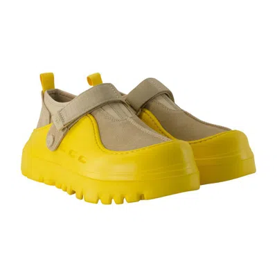 Ugg Sneakers Peakmod Lowcut In Yellow
