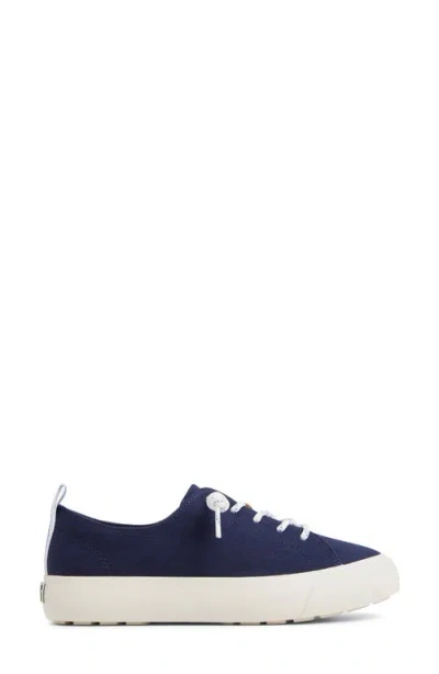 Sperry Cove Lace-to-toe Sneaker In Blue