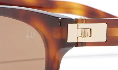 Dunhill 53mm Rectangular Sunglasses In Brown