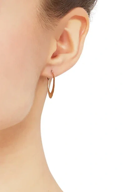 Frankie & Zoe Twisted Hoop Earrings In Gold