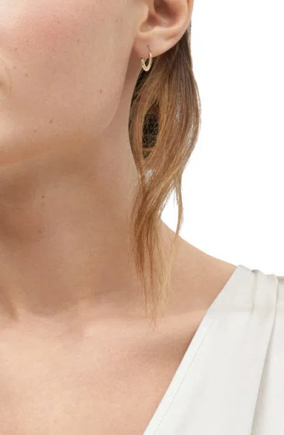 Frankie & Zoe Graduated Hoop Earrings In Gold