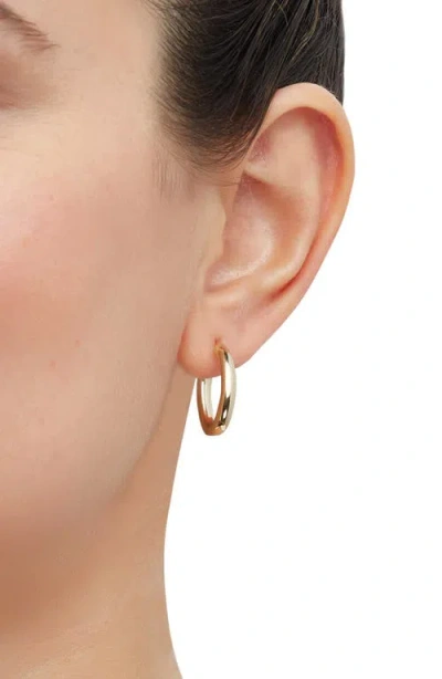 Frankie & Zoe Oval Hoop Earrings In Gold