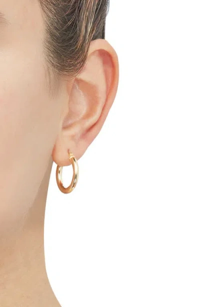 Frankie & Zoe Tubular Hoop Earrings In Gold