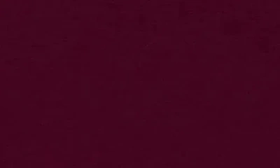 Renee C Side Knot Top In Burgundy