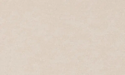 Renee C Cowl Neck Long Sleeve Brushed Knit Crop Top In Neutral