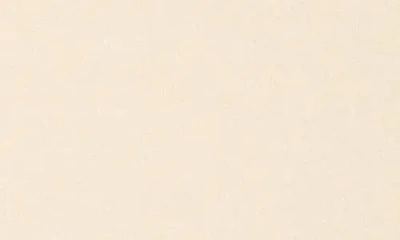 Renee C Cowl Neck Brushed Knit Crop Pullover In Pink