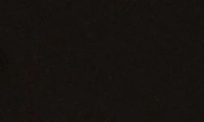 Renee C V-neck Long Sleeve Crop Henley Top In Black