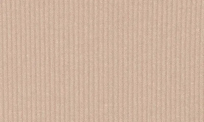 Renee C Long Sleeve Ribbed Top In Brown