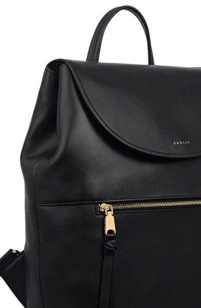 Radley Albion Street Large Ziptop Backpack In Black