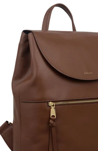 Radley Albion Street Large Ziptop Backpack In Brown