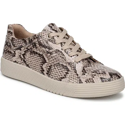 Soul Naturalizer Neela Oxford Sneaker In Animal Print