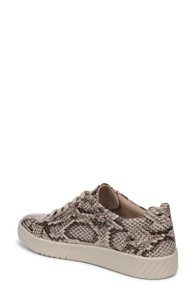 Soul Naturalizer Neela Oxford Sneaker In Animal Print