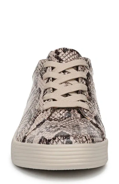 Soul Naturalizer Neela Oxford Sneaker In Animal Print