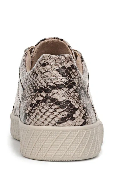 Soul Naturalizer Neela Oxford Sneaker In Animal Print