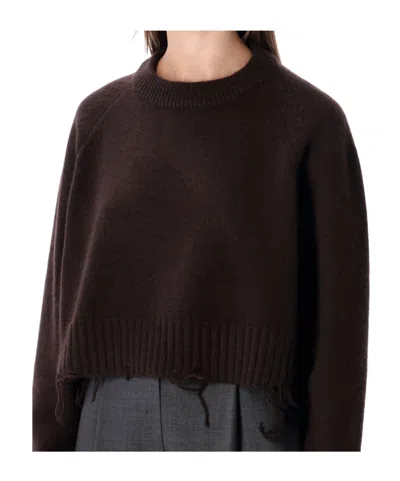 Low Classic Cropped Pullover Distressed Hemline In Brown