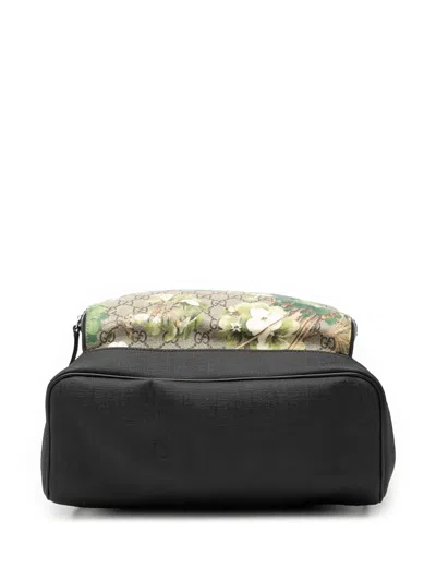 Pre-owned Gucci 2016-2025 Medium Gg Supreme Blooms Eden Backpack In Brown
