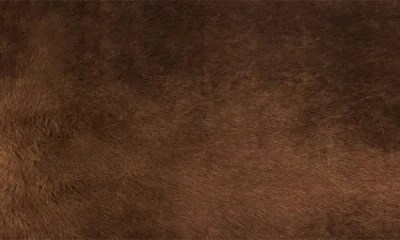 Apparis Cicly Pluche™ Faux Mink Accent Pillow In Brown