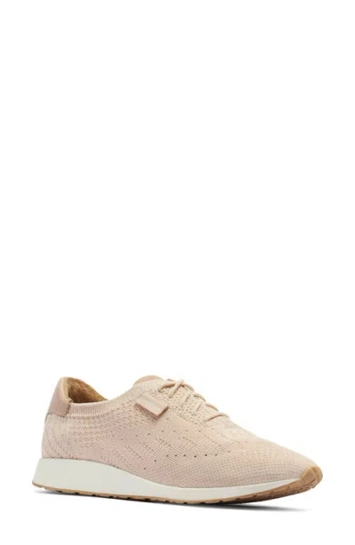 Frankie4 Dimity Ii Knit Sneaker In Neutral