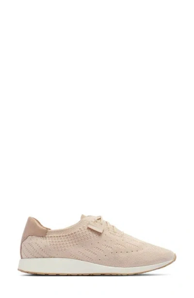 Frankie4 Dimity Ii Knit Sneaker In Neutral