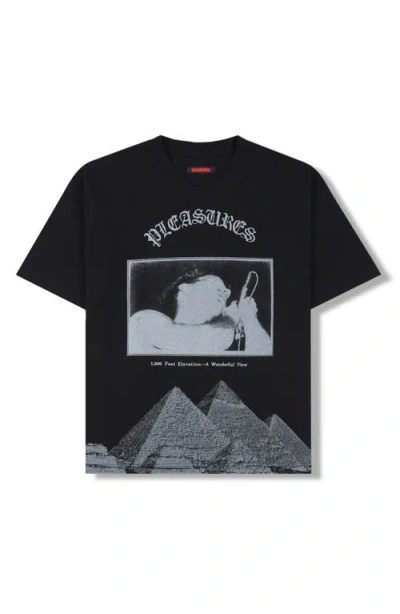 Pleasures Elevation Heavyweight Cotton Graphic T-shirt In Multi