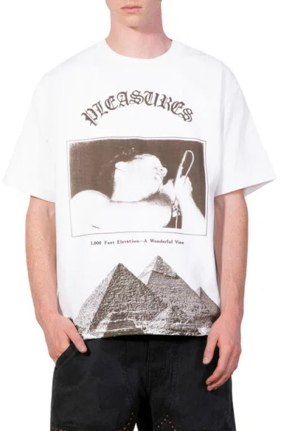 Pleasures Elevation Heavyweight Cotton Graphic T-shirt In Multi