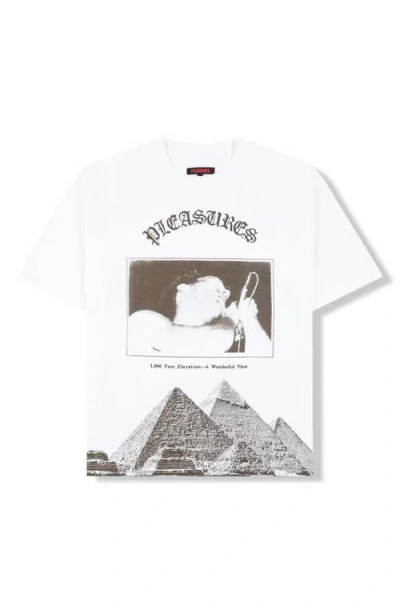 Pleasures Elevation Heavyweight Cotton Graphic T-shirt In Multi