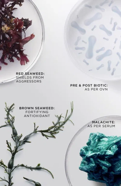 Noble Panacea The Brilliant Radiant Resilience Moisturizer In Pink