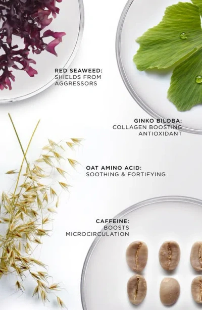 Noble Panacea The Brilliant Vibrant Eye Infusion In Pink