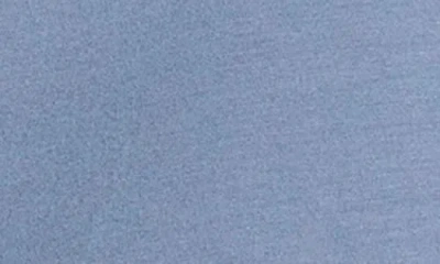 Spanx ® Brushed Airessentials® Luxe Ankle Pants In Blue