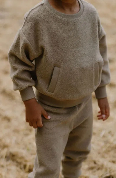 Pehr Organic Cotton Teddy Fleece Sweatshirt In Green