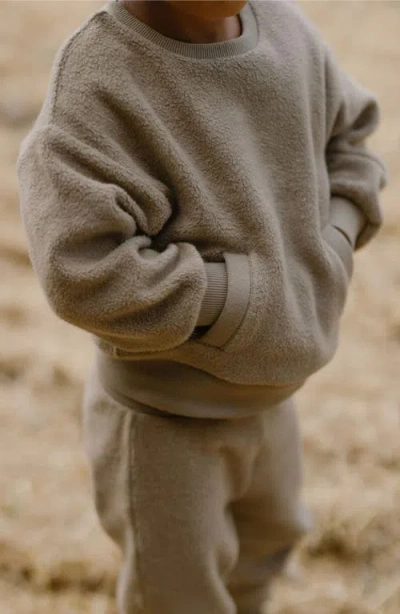 Pehr Organic Cotton Teddy Fleece Sweatshirt In Green