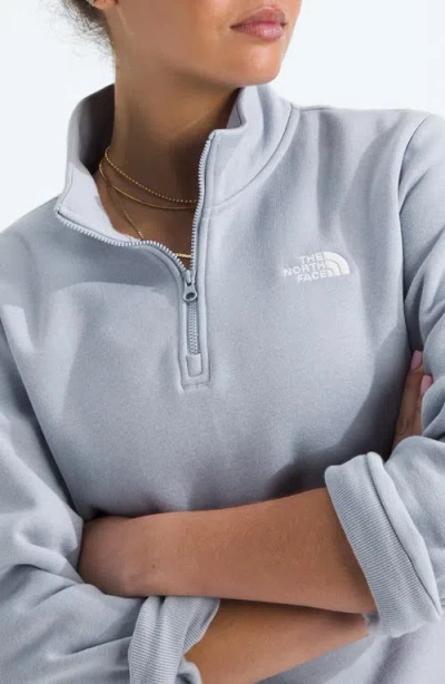 The North Face Evolution Quarter Zip Pullover In Blue