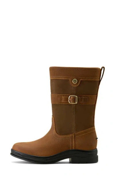 Ariat Bampton Waterproof Boot In Multi