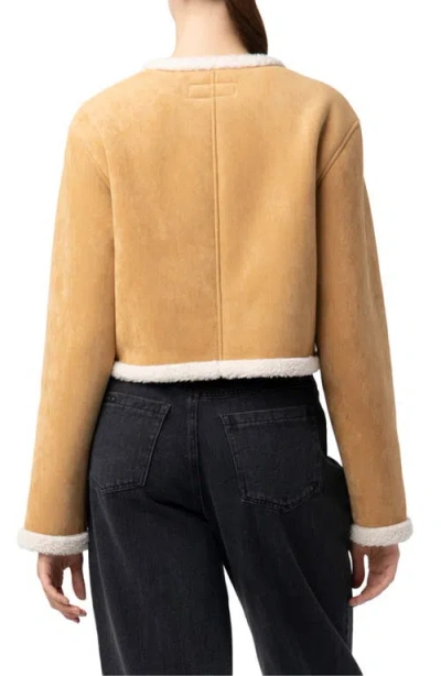 Blanknyc Faux Shearling Collarless Jacket In Brown