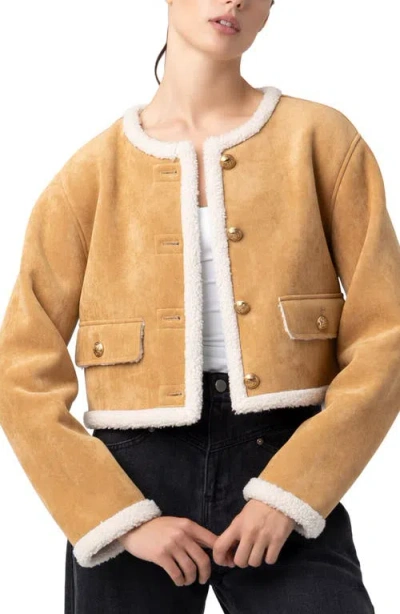 Blanknyc Faux Shearling Collarless Jacket In Brown