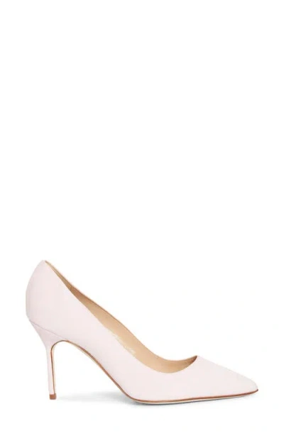 Manolo Blahnik Bb Pointed Toe Pump In Multi
