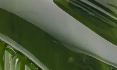 Machete Midi Heirloom Claw Clip In Green