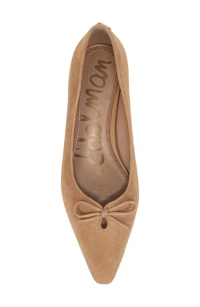 Sam Edelman Esmira Pointed Toe Flat In Multi
