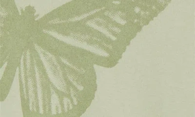 Pacsun Butterfly Long Sleeve Cotton Graphic T-shirt In Green