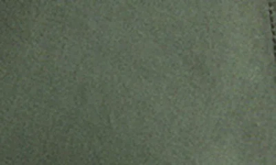 Vitamin A ® Parker Organic Cotton Tank Top In Green