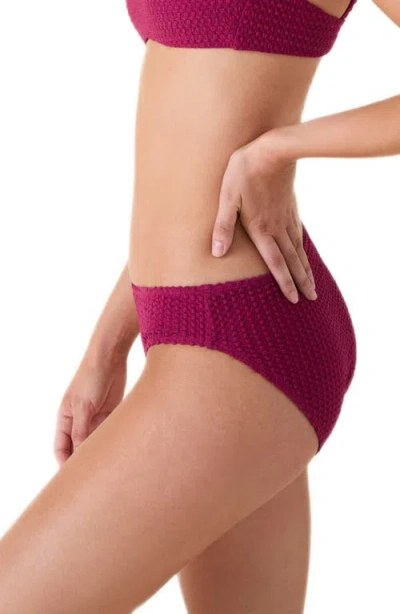 Andie The Bikini Bottoms In Burgundy