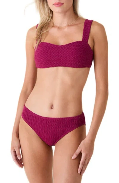 Andie The Bikini Bottoms In Burgundy
