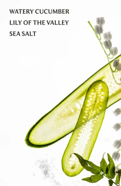 Touchland Gentle Mist Lily Of The Valley Ultra-soothing Hand Sanitizer In Green