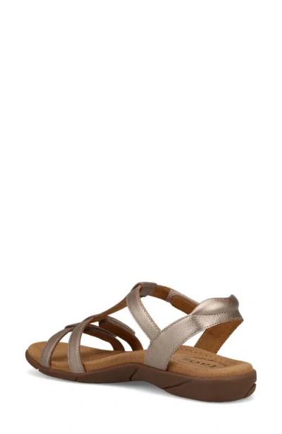 Taos Trophy 2 Sandal In Brown