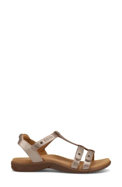 Taos Trophy 2 Sandal In Brown