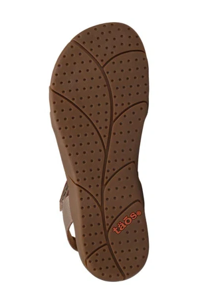 Taos Trophy 2 Sandal In Brown