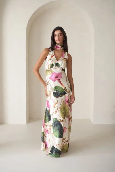 Vasiliki Catalina Silky Gown In Rafflesia In Neutral