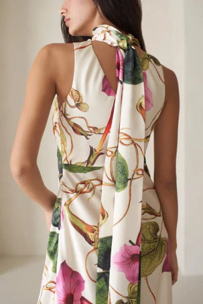 Vasiliki Catalina Silky Gown In Rafflesia In Neutral