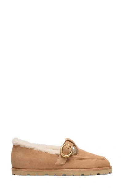 Stuart Weitzman Dakota Genuine Shearling Mary Jane Flat In Multi