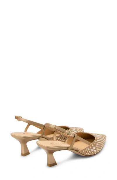 Stuart Weitzman Vinne Radiant Slingback 50 Pump In Multi